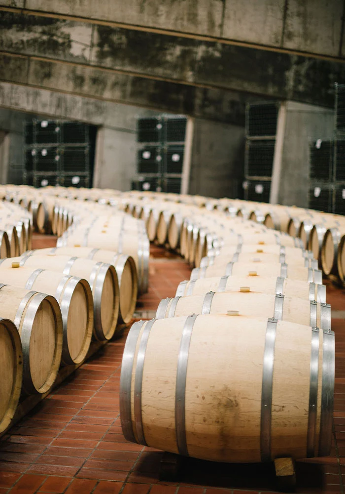 Visite in cantina
